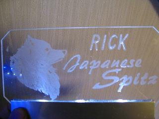 愛犬RICKプレート4