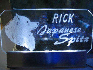 愛犬RICKプレート3