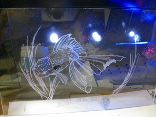 アクリルとLEDの作品2