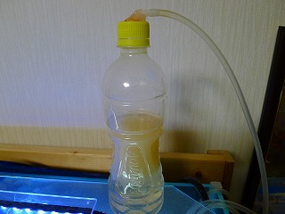 逆止弁とエアーストーンを取り付けた様子