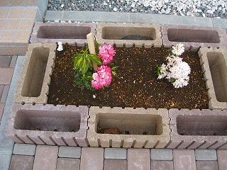 植木を植えた花壇
