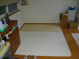 コンパネを3枚並べる計画