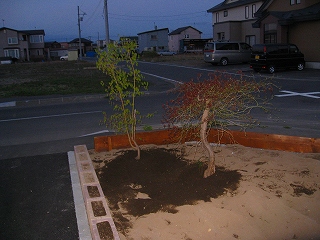 2×10で囲っただけの土留めの現状2